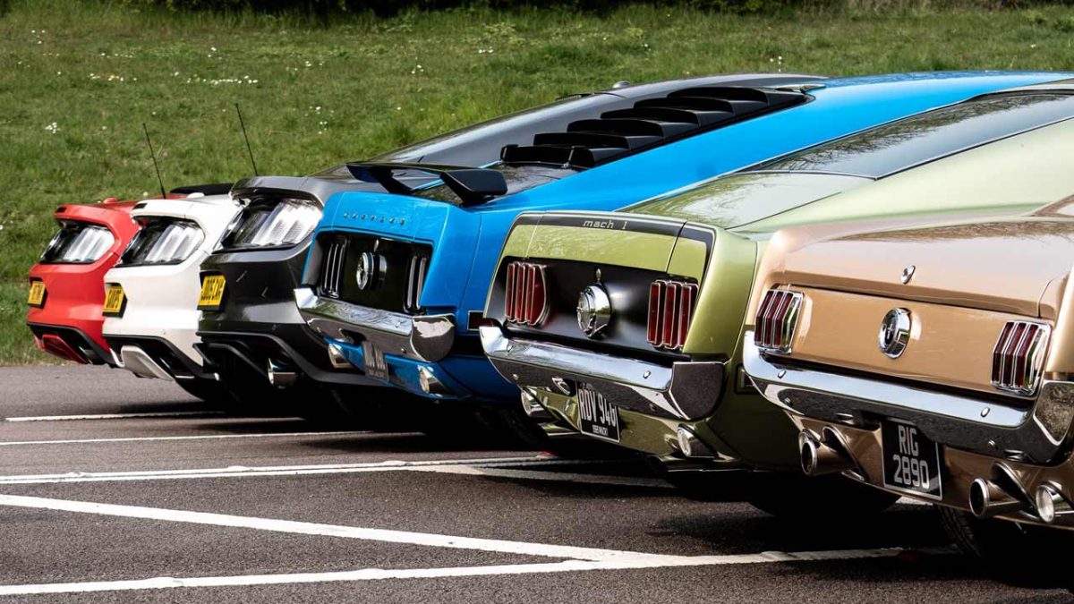 Mustang_55
