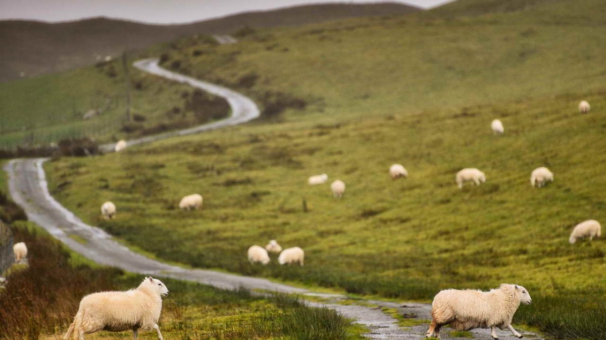 Travel_Wales_Scenery