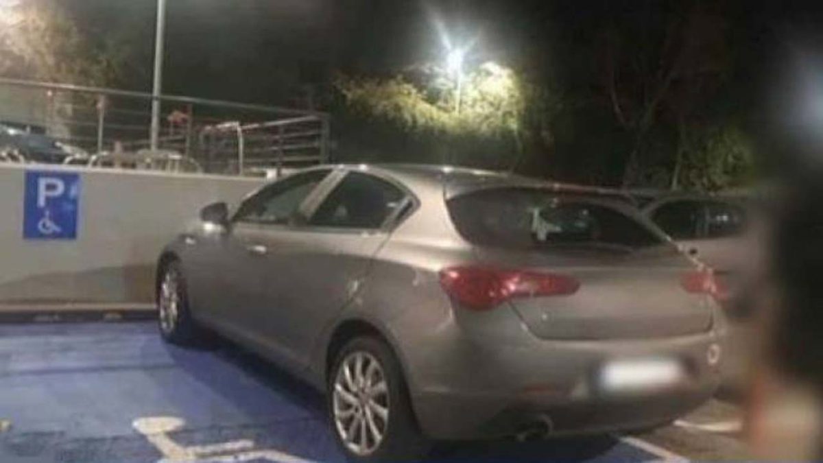 alfa_amea