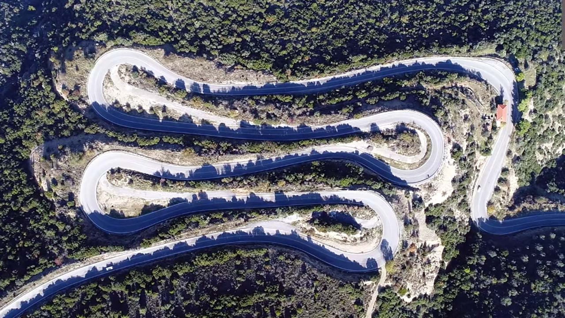 kolosourtis