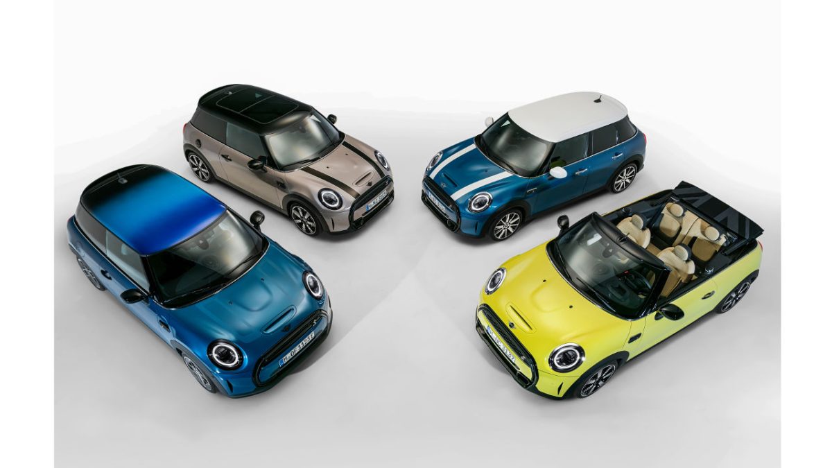 mini-ananeosi