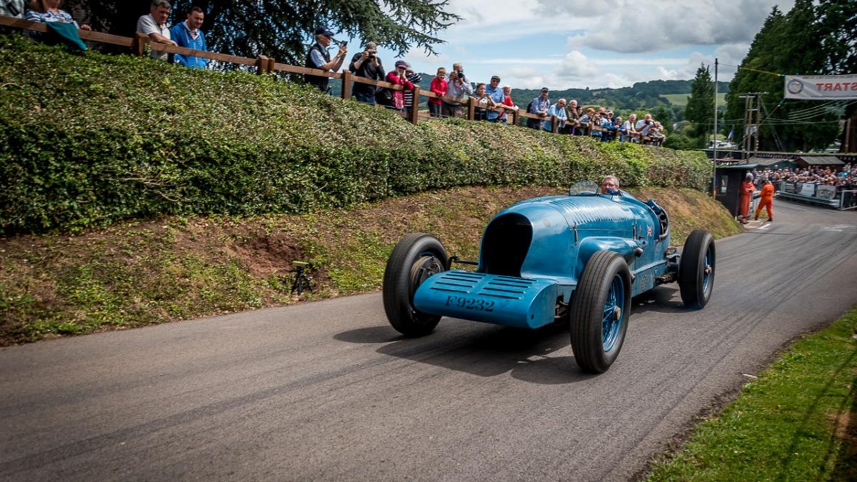 napier_bluebird