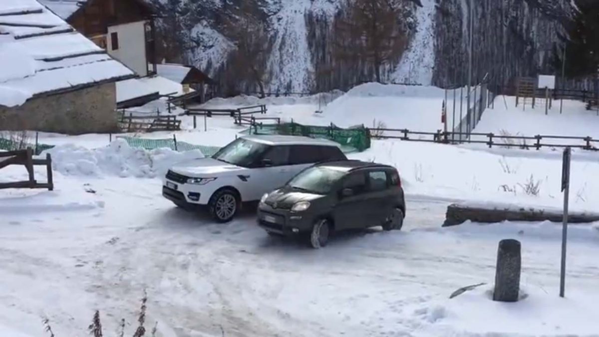 panda_snow