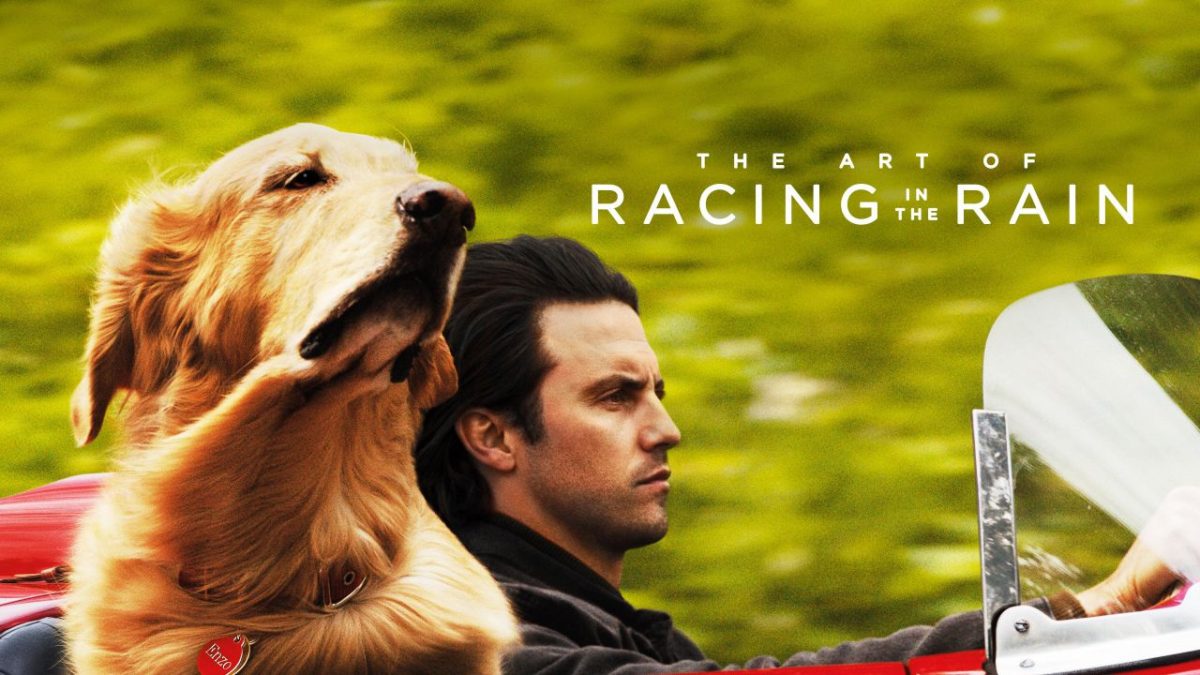 the-art-of-racing-in-the-rain
